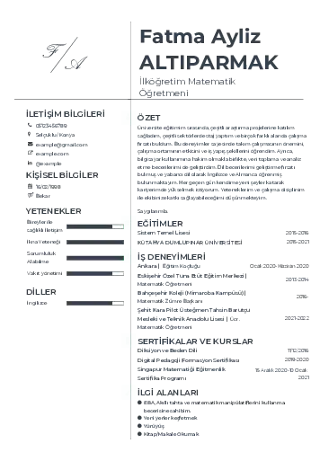 Matematik Öğretmeni Cv Örnekleri cv indir
